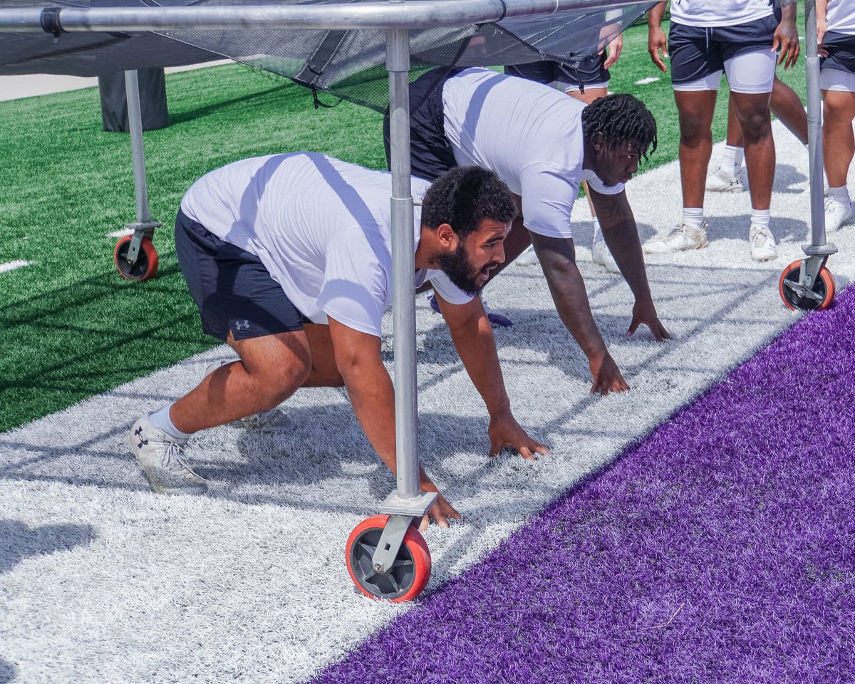 Putting the pieces together

#CDT | #GoWildcats
