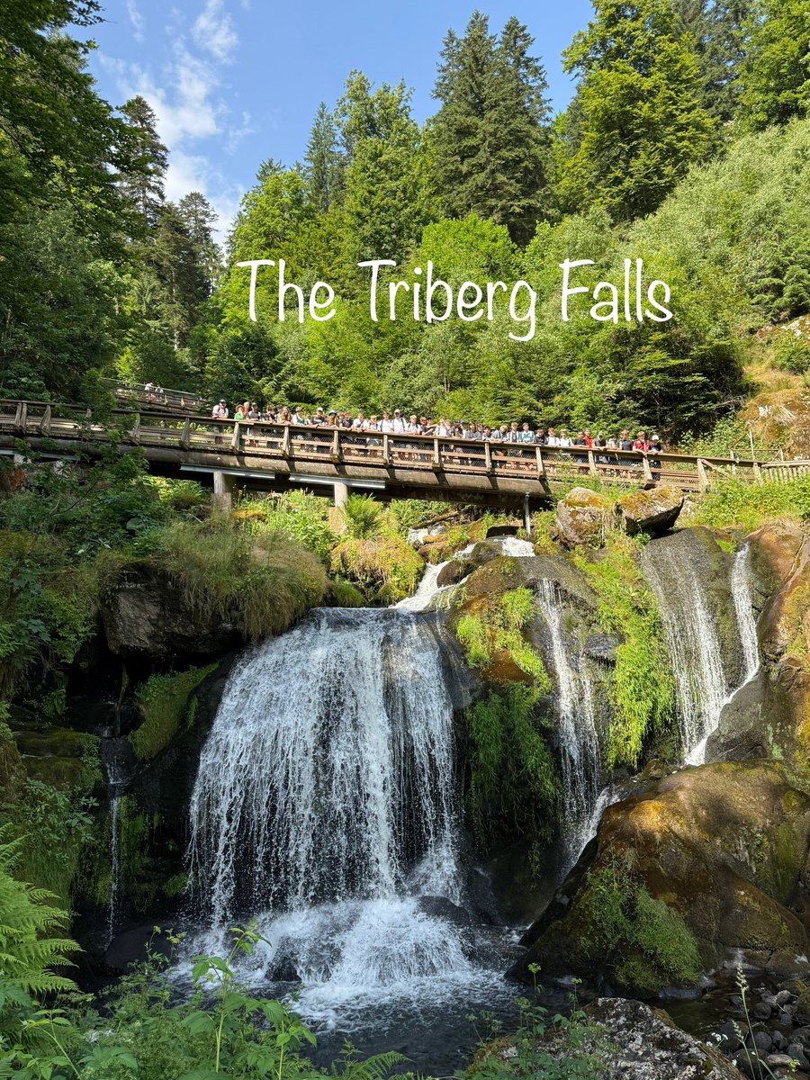 Andrew Weymouth tweet media