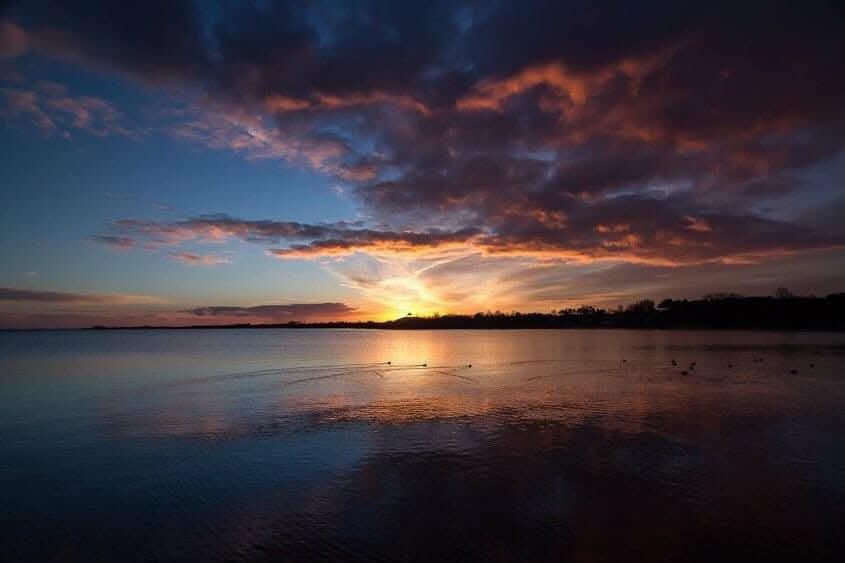 Beauty doesn’t ask permission.