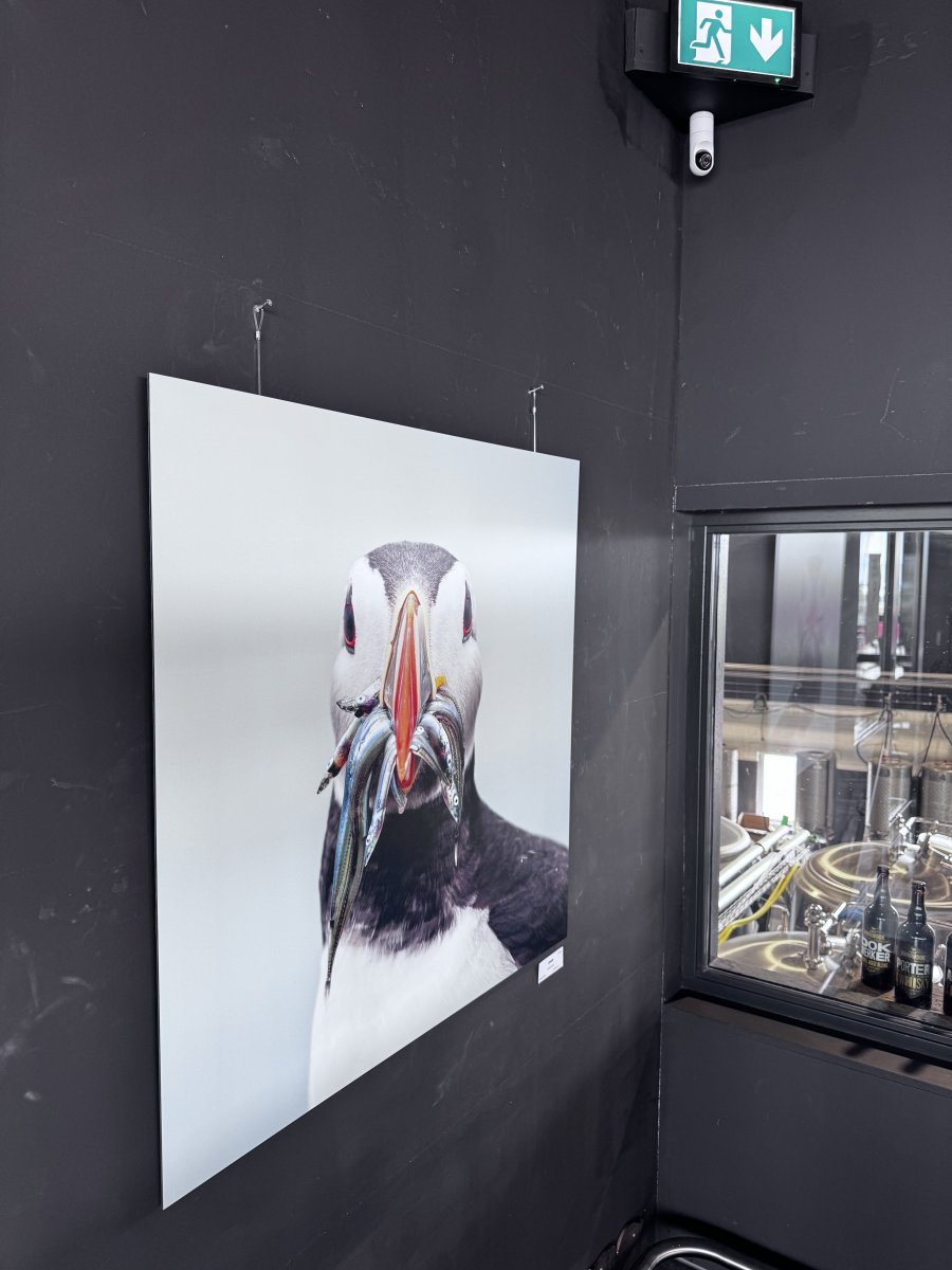 Laatste weekend van de expositie: 
ZEE VAN GELUK

Marquritha Fabriek sjouwt graag met een fotocamera in de natuur, dé plek waar gedachten tot stilstand komen en een weldadige innerlijke rust ontstaat.  En prachtige geluksmomenten vastgelegd voor iedereen.