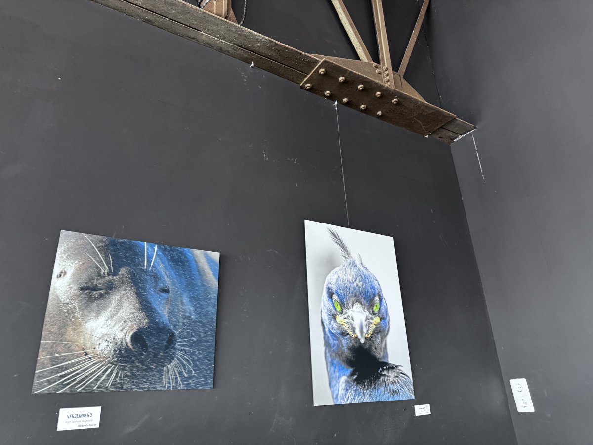 HetBrouwdok's tweet photo. Laatste weekend van de expositie: 
ZEE VAN GELUK

Marquritha Fabriek sjouwt graag met een fotocamera in de natuur, dé plek waar gedachten tot stilstand komen en een weldadige innerlijke rust ontstaat.  En prachtige geluksmomenten vastgelegd voor iedereen. https://t.co/L0HmCjz6MY