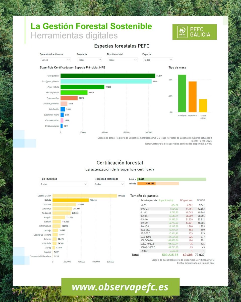 GaliciaPefc's tweet image. 🦉 Sabías que máis de 107.000 ha de #montegalego #CertificadoPEFC están en espazos naturais protexidos? Unha xestión forestal sostible tamén significa coidar da biodiversidade 🌿🌍 Grazas a #ObservaPEFC agora é posible acceder a estes datos en tempo real: observapefc.es