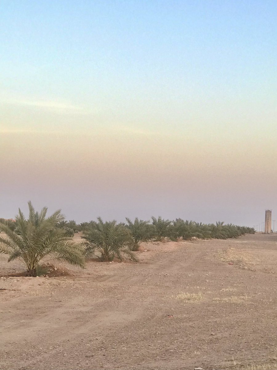 تركي نواف الهباس tweet media