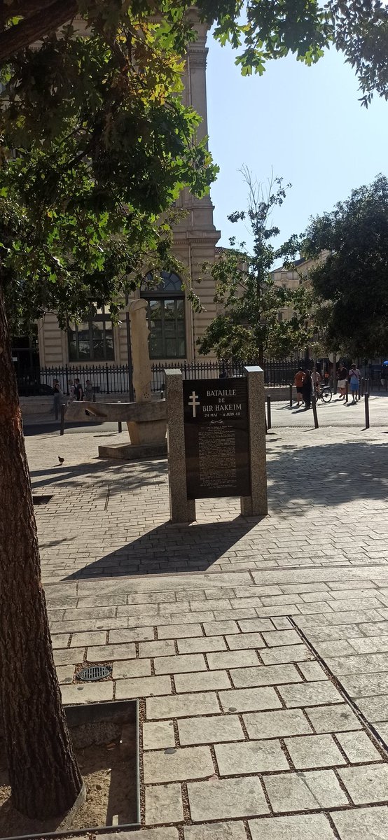 My own summer,alone somewhere and drink bullshit ipa