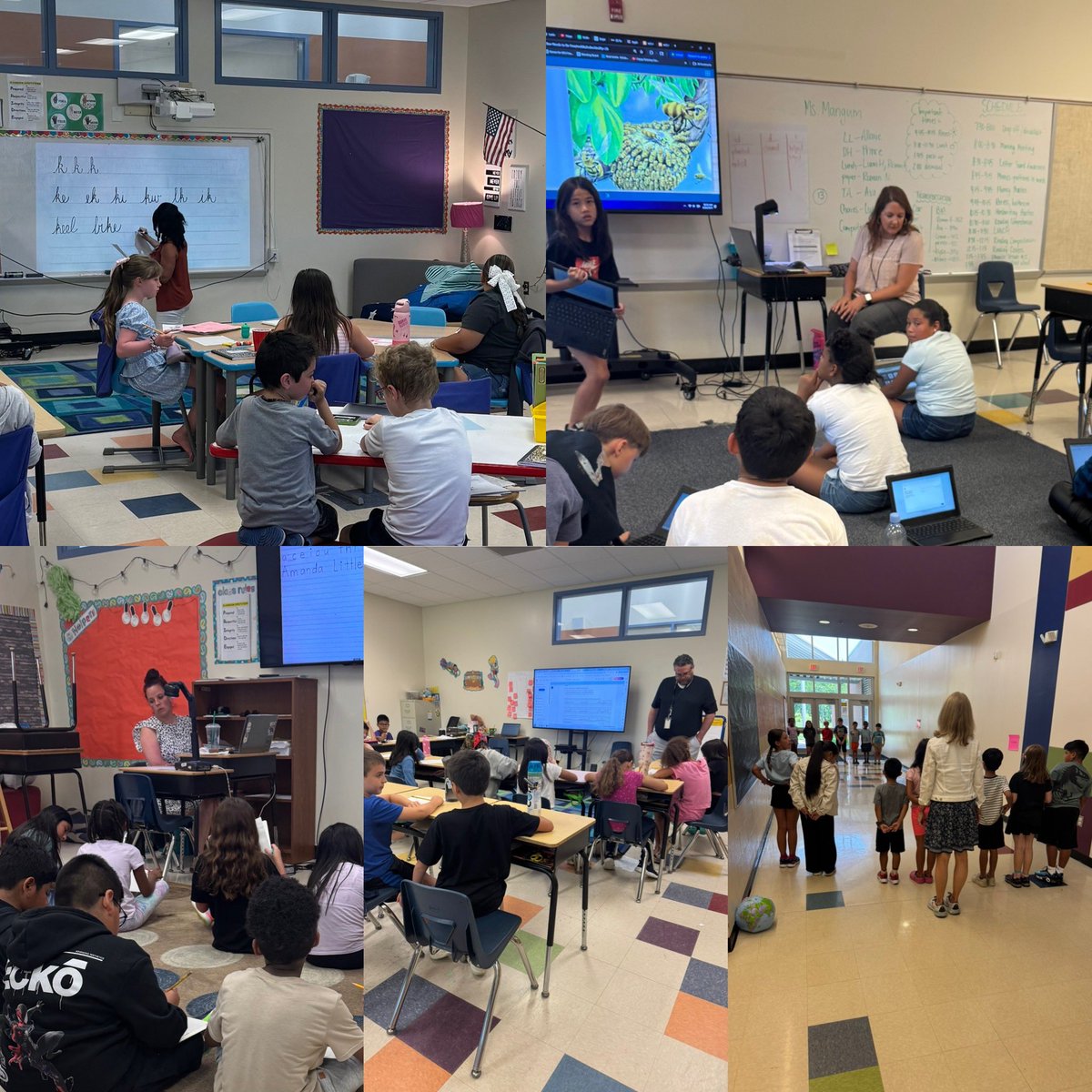 Molly Russell tweet media