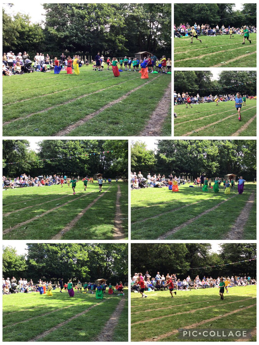 WhitegateBirch tweet media