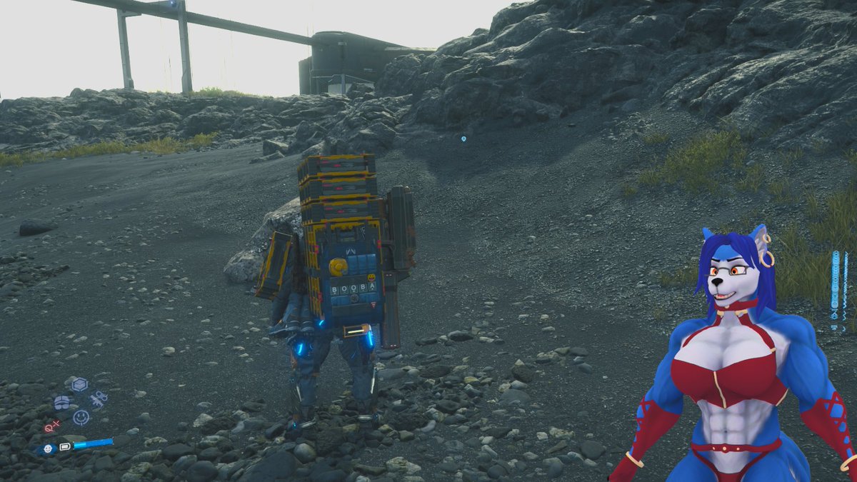 twitch.tv/hopeywolf Booba