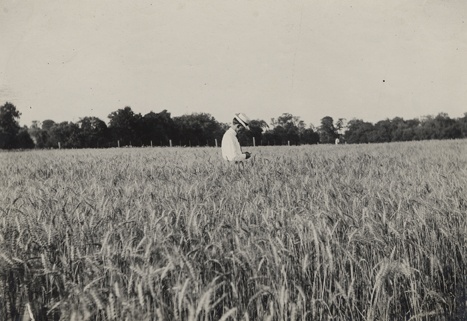 #TBT Undated photograph of a man standing in a field of crops. On the back reads: "Shoesmith?". #MSUHistory