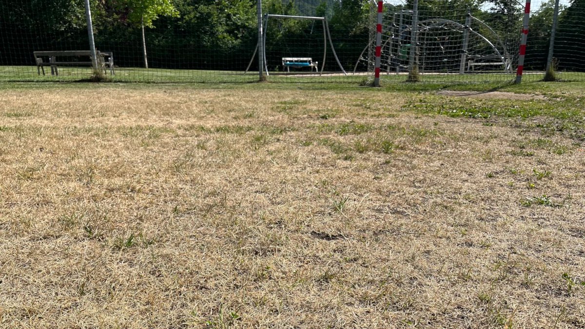 Garden_Shop_at's tweet photo. 💦🌞 Wasser sparen im Garten – so geht’s! 🌿💧
Der Sommer brennt – aber dein Garten muss nicht verdursten! 🌱

👉 Jetzt lesen &amp; den Garten auf Hitzewelle trimmen:
📝 https://t.co/GTSZMf4sPg 

#gartenliebe #wassersparen #klimagarten #mulchen #sommergarten #gartentipps https://t.co/JrOhpuaYpP