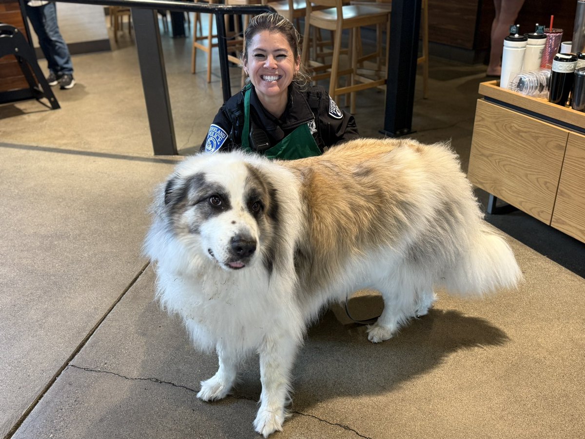 We are here ☕️come say hi👋9-11AM at Juanita Starbucks!