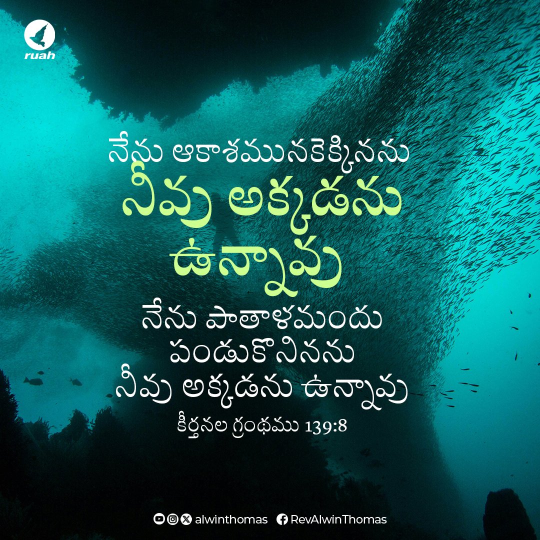 Psalm 139:8 - "If I go up to the heavens, you are there; if I make my bed in the depths, you are there."

#dailyverse #dailymanna #dailybread #dailyquotes #promiseword #ruah #ruahministries #ruahtv #awinthomas #ruahrevivalcenter #bibleverse