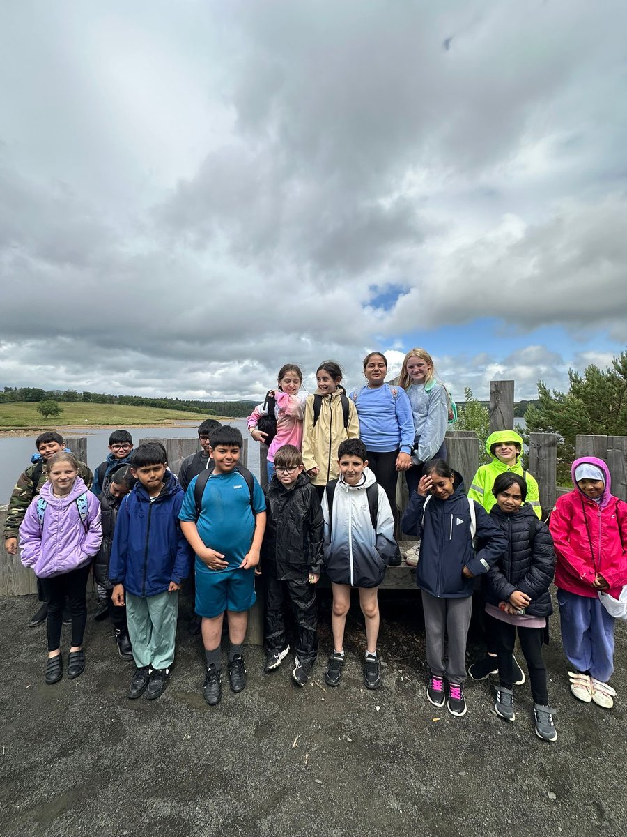 Wingrove Primary tweet media