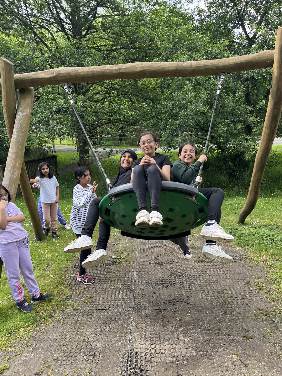 Wingrove Primary tweet media