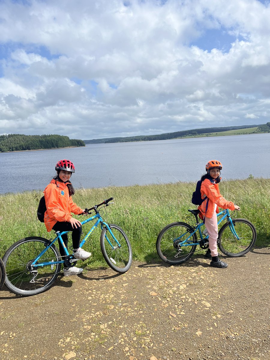 Wingrove Primary tweet media