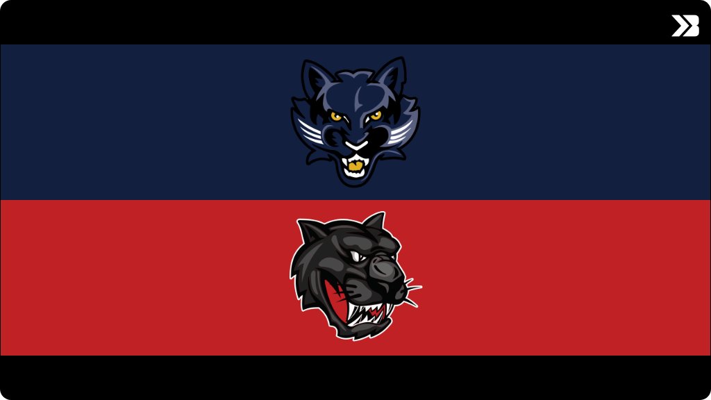 Riceville Baseball tweet media