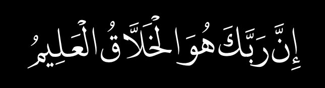 Baji⚡️ tweet media