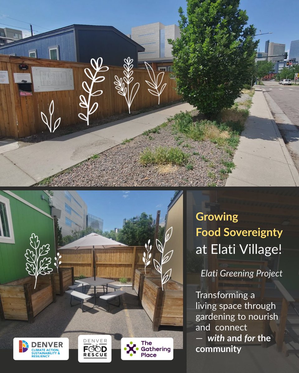 Denver Food Rescue (@denverfoodrescu) on Twitter photo 🌱 We’re thrilled to launch the Elati Greening Project with <a href="/TGPdenver/">The Gathering Place</a>! At Elati Village — a micro-community for women, trans & nonbinary residents — neighbors will grow food, learn to garden, & steward the space themselves.
Thanks to <a href="/DenverCASR/">Denver Climate Action, Sustainability & Resiliency</a> & Denver voters! 💚 🌱 We’re thrilled to launch the Elati Greening Project with <a href="/TGPdenver/">The Gathering Place</a>! At Elati Village — a micro-community for women, trans & nonbinary residents — neighbors will grow food, learn to garden, & steward the space themselves.
Thanks to <a href="/DenverCASR/">Denver Climate Action, Sustainability & Resiliency</a> & Denver voters! 💚