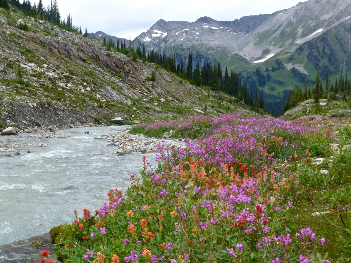 Hugh Ross tweet media