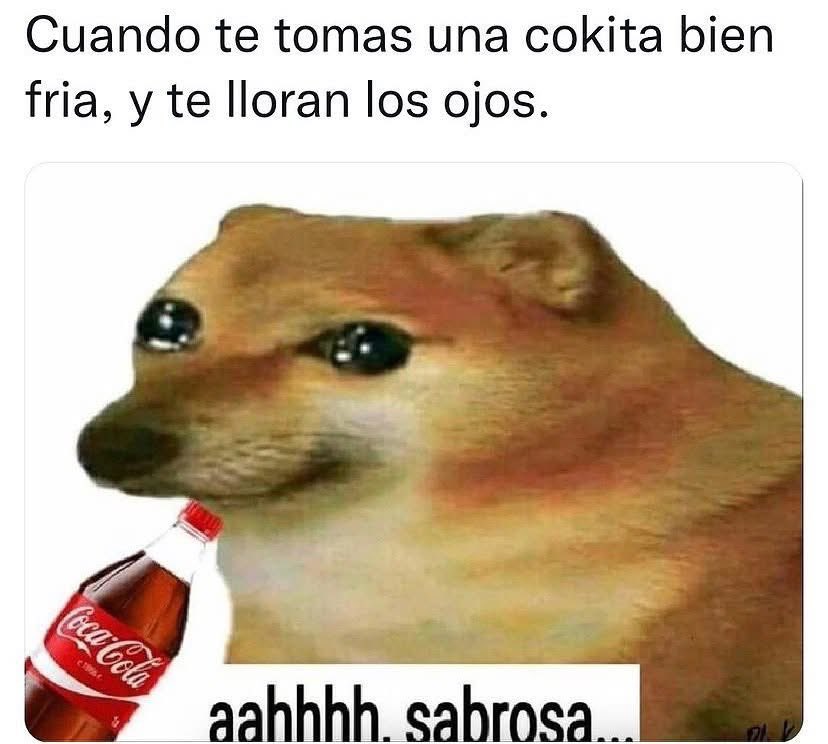 PediaNu's tweet photo. Es la mera neta https://t.co/iH2wwFqLhz