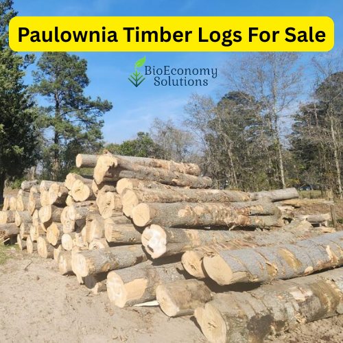 Importers now have unique opportunity to acquire a substantial quantity of high-quality Paulownia timber.
Offered at a competitive price of $3.00 per board foot.
Why Choose Paulownia Timber? Learn more here: lnkd.in/eXYWKNnX

#timber #logs #sale #paulownia #kiri #empress