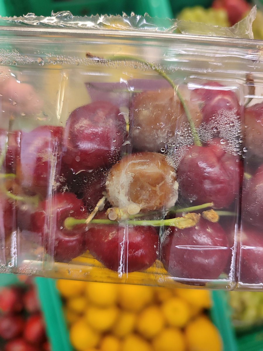 tugcetyg's tweet photo. Gebze Beşevler Migros bu rezillik nedir?? @Migros_Turkiye @migros https://t.co/nqHAFKOo5E