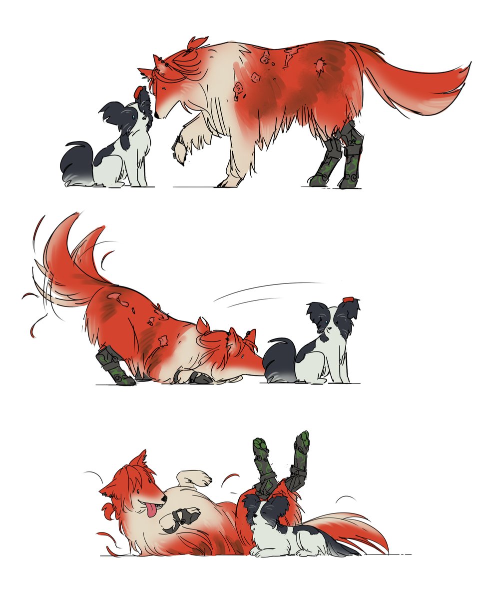 영문을모르겟지만 털날리는 재희무현 놓고감