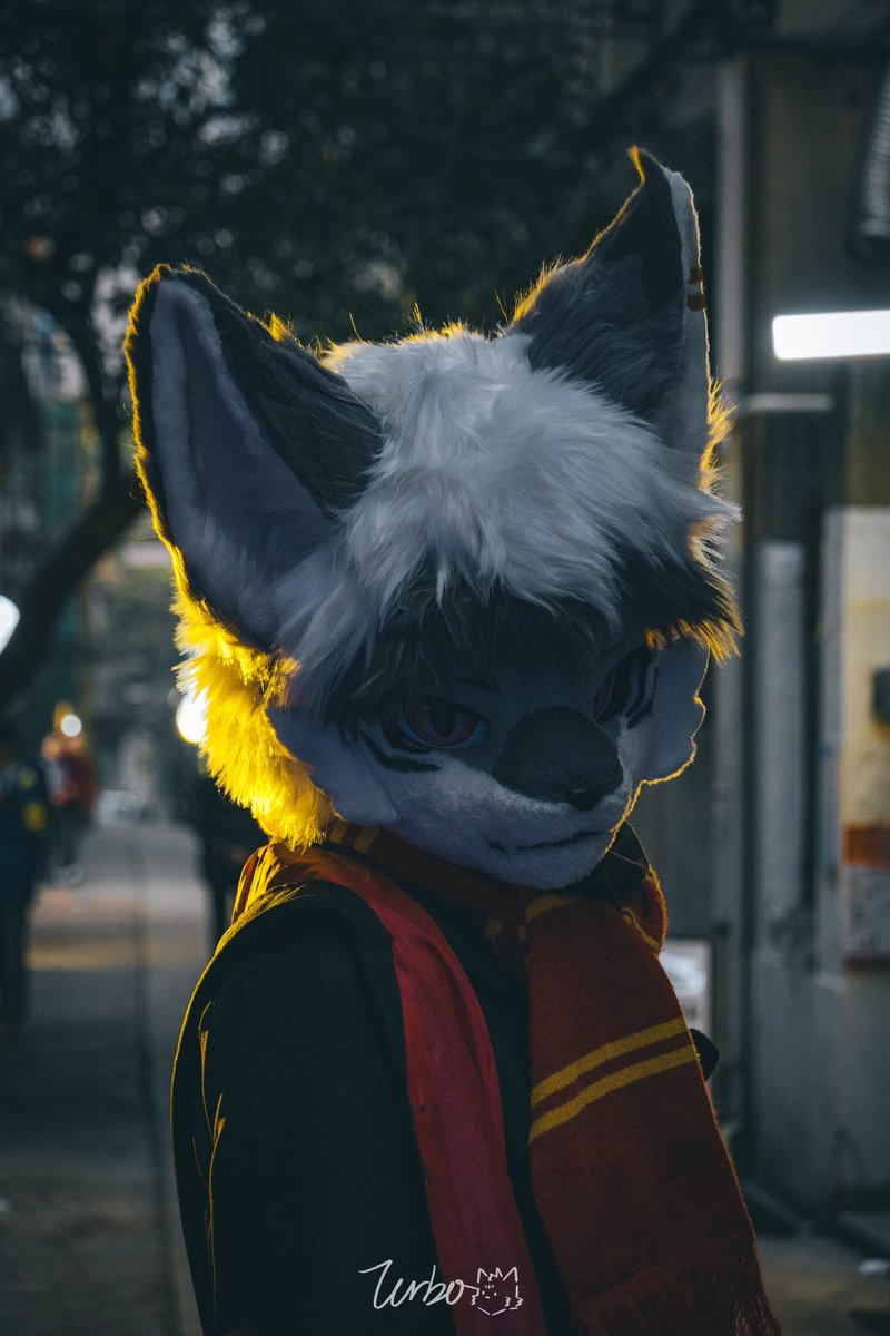 #FursuitFriday
「愛與希望是會殺人的烏托邦」
📷：<a href="/Max_Turbo_Wolf/">兔啵Turbo→绒萌</a>