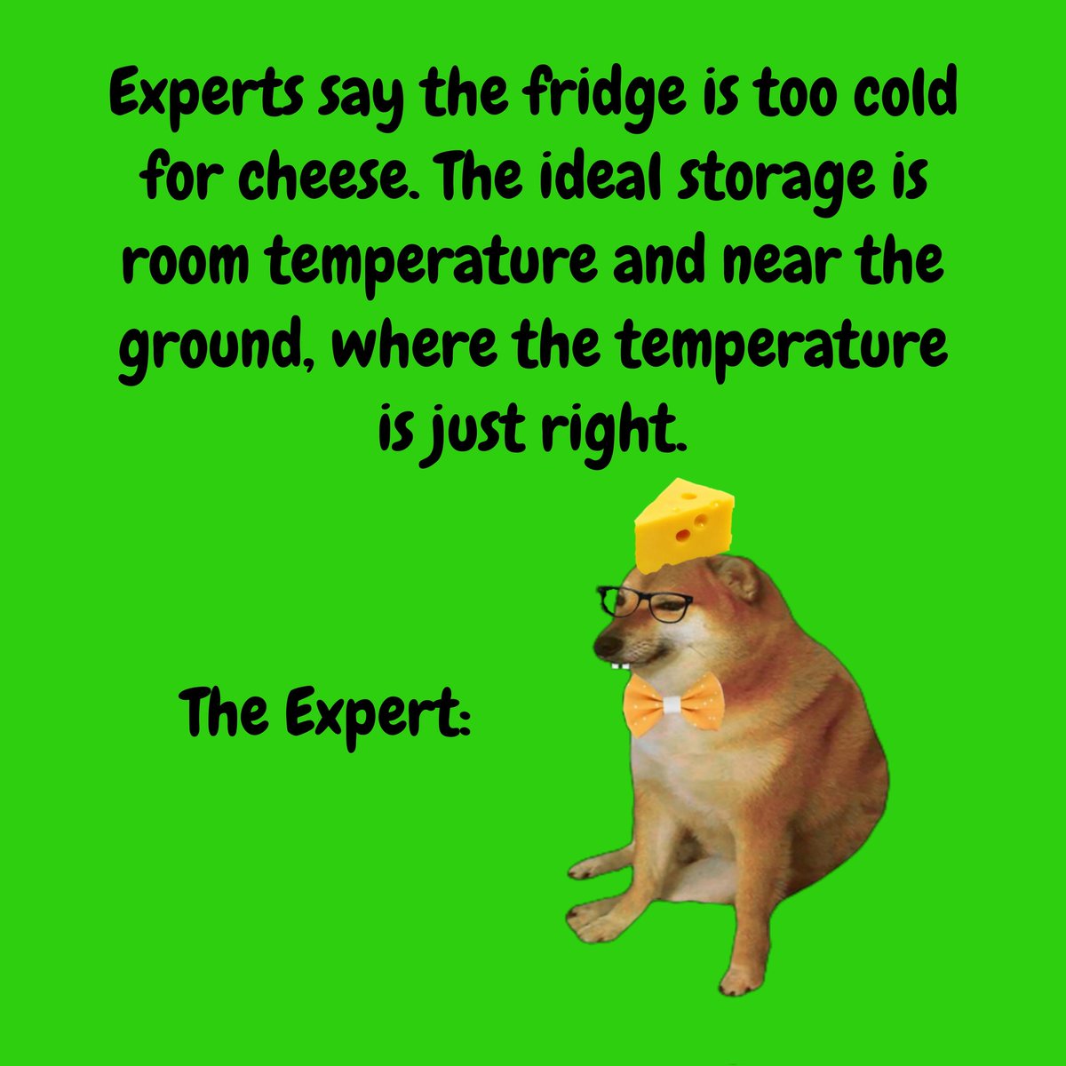 Cheems the Expert 😄