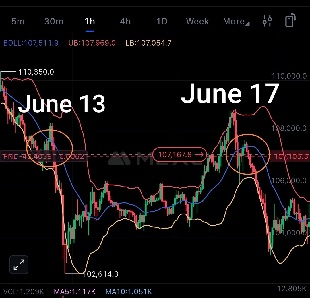 Cryptic Owl tweet media