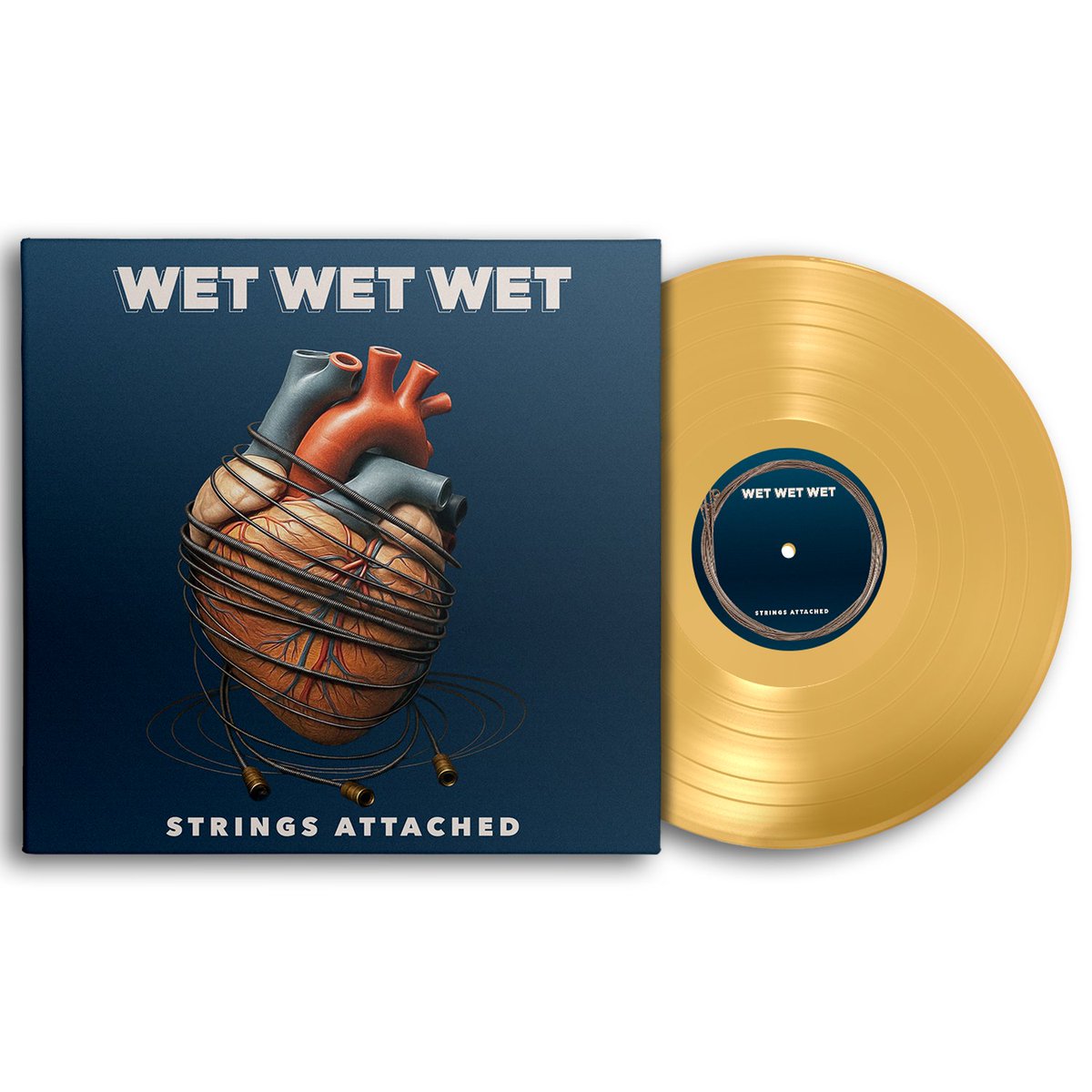 Wet Wet Wet (@wetwetwetuk) on Twitter photo ๐๐๐๐๐๐๐ ๐๐๐๐๐๐๐๐
Our new album 'Strings Attached' is available to pre-order from <a href="/TownsendMusicUK/">Townsend</a> now. Fans who pre-order their copy before 8th July '25 will receive a code for the artist pre-sale to our UK Acoustic Tour 2026. Pre-order wetwetwet.tmstor.es ๐๐๐๐๐๐๐ ๐๐๐๐๐๐๐๐
Our new album 'Strings Attached' is available to pre-order from <a href="/TownsendMusicUK/">Townsend</a> now. Fans who pre-order their copy before 8th July '25 will receive a code for the artist pre-sale to our UK Acoustic Tour 2026. Pre-order wetwetwet.tmstor.es