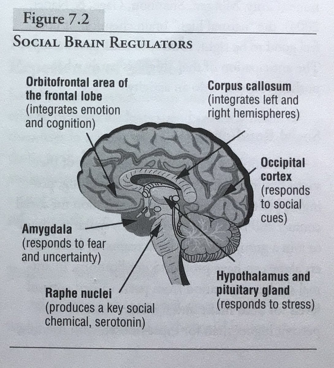 Why "Turn &amp; Talk"? Students retrieve relevant information from memory, analyze it in real time, determine which aspects are worth articulating, and construct coherent language structures to express their thinking <a href="/EricJensenBrain/">Eric Jensen</a> <a href="/teacherhead/">Tom Sherrington</a> <a href="/SoLInTheWild/">Brett Benson</a>
open.substack.com/pub/hildazanal…