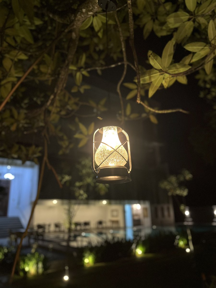 friday night made an early entrance this week ✨