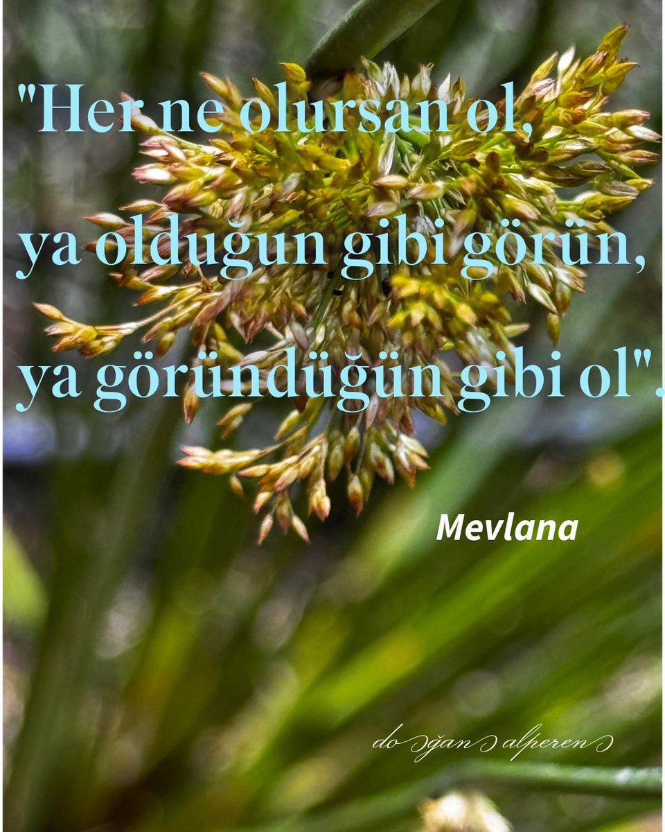 Mertliğe Sertlik Demek

Doğruları söyleyen insanlar, çoğu zaman “sert” olmakla suçlanır.
Aslında mesele ne üsluptur ne de ses tonu. Mesele, yalana alışan kulakların hakikati duymakta zorlanmasıdır.

Zira doğru söz, incitmek için değil, eğip bükmeden bir gerçeği göstermek içindir.