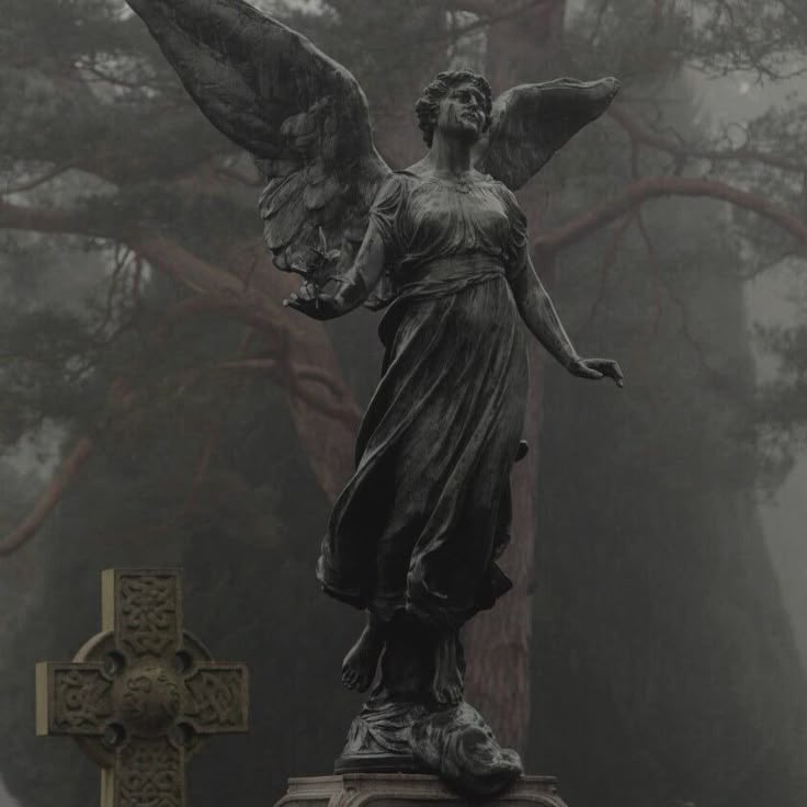 salt (@ancilladominii) on Twitter photo 