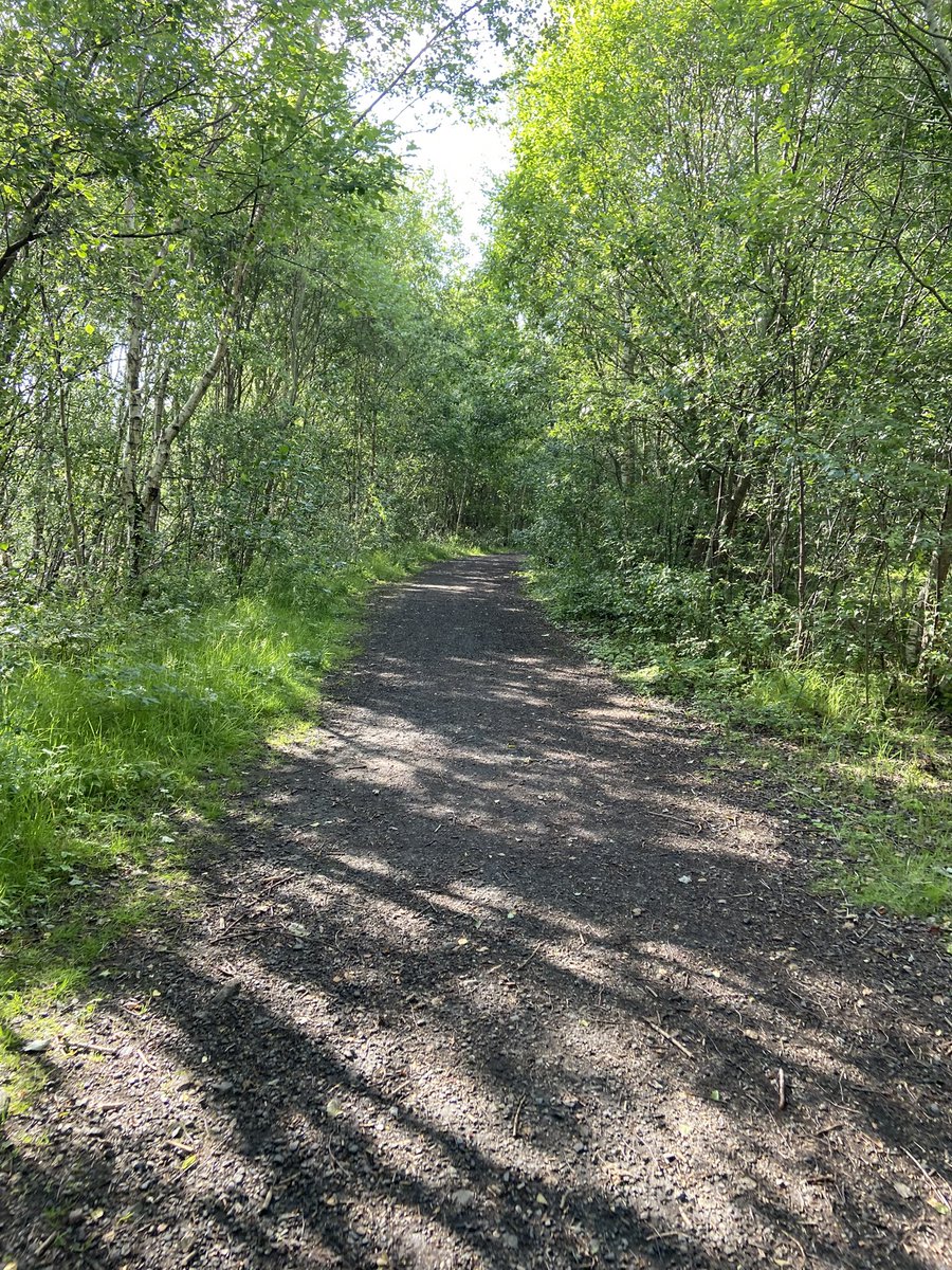 C0L1N_osrs's tweet image. Since committing to 10k steps a day my after work activities look like this