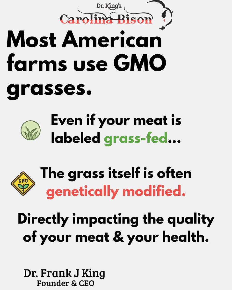 carolinabison's tweet photo. 🌱 Just because it’s “grass-fed” doesn’t mean it’s clean.
In the U.S., most pastures are sprayed with chemical fertilizers, pesticides, and GMO-laced grasses — meaning the animals absorb those toxins… and then you do. https://t.co/DVLjYm0Kph
