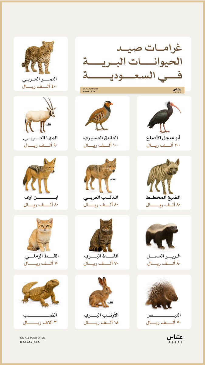 غرامات صيد الحيوانات البرية في السعودية قد تصل إلى ٤٠٠ ألف ريال
من النمر العربي حتى الضب، حماية الحياة الفطرية مسؤولية الجميع