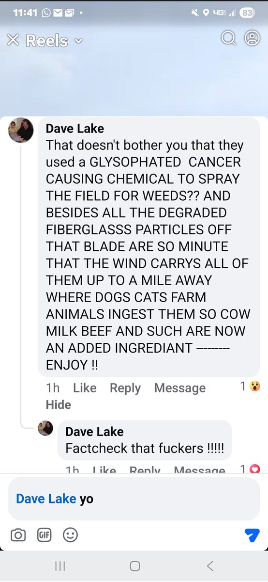 Facebook... where using ALL CAPS makes you an expert