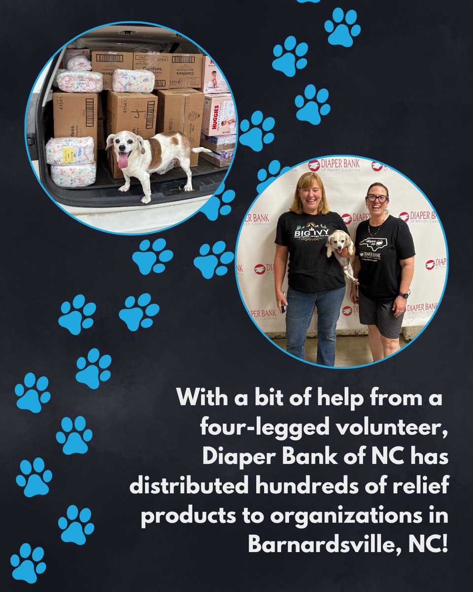 Diaper Bank of NC (@diaperbanknc) on Twitter photo Diaper Bank of NC will continue to serve the WNC region with essential hygiene products for the next couple of years.
Want to help? Support our disaster relief here: ncdiaperbank.org/disaster-relief
#WNCstrong #DiaperOnNC #WesternNC
<a href="/RepWebster/">Daniel Webster</a> <a href="/PratherForNC/">Lindsey Prather</a> Diaper Bank of NC will continue to serve the WNC region with essential hygiene products for the next couple of years.
Want to help? Support our disaster relief here: ncdiaperbank.org/disaster-relief
#WNCstrong #DiaperOnNC #WesternNC
<a href="/RepWebster/">Daniel Webster</a> <a href="/PratherForNC/">Lindsey Prather</a>