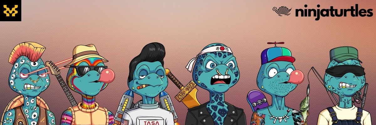 Ninja Turtles 🥷🍕 tweet media