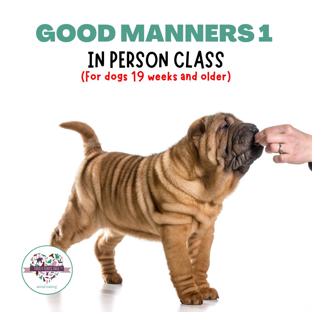 forcefree_pets's tweet image. 🐶❗Registration Open for Good Manners 1 Class with Wendy Signorella for Dogs 19 Weeks and Older

👉Click For Class Schedule:
trulyforcefree.com/class/good-man…

#trulyforcefreeanimaltraining #dogtraining #forcefreetraining #forcefreedogtrainer #obediencetraining