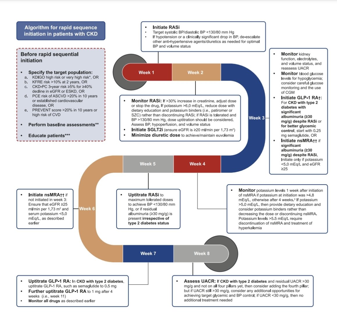 Algoritmo propuesto de inicio rápido y simultáneo, así como monitorización de fármacos en ERC y DM2  JASN 2025
doi.org/10.1681/ASN.00…
