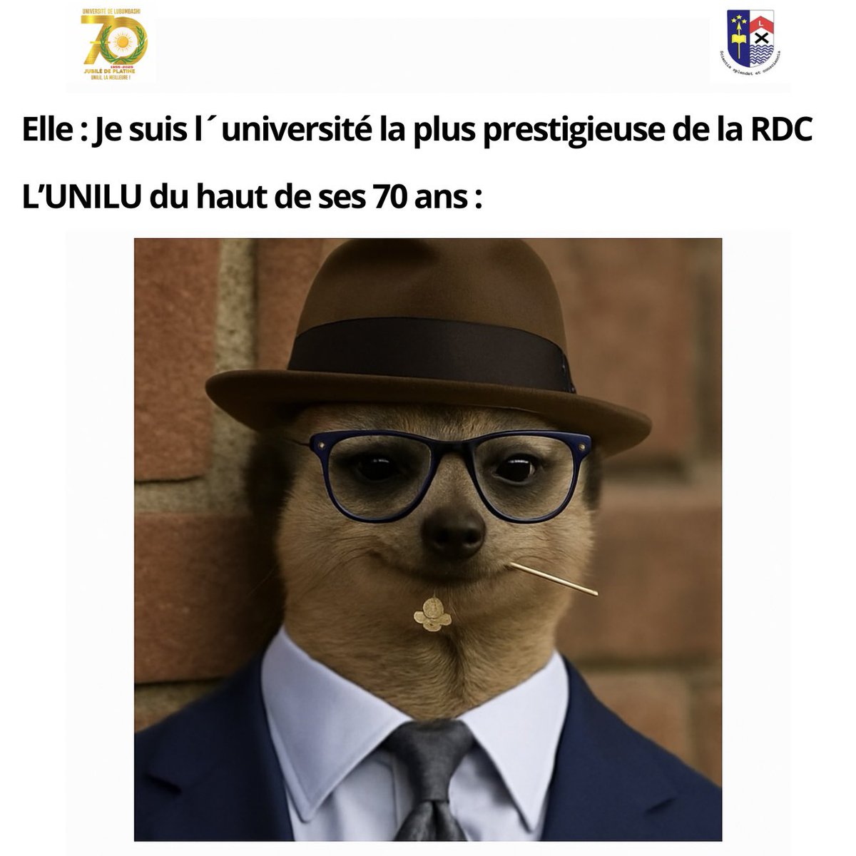 Elle : Je suis la plus prestigieuse Université en RDC 

#UNILU70ans : Encore faut-il que quelqu’un d’autre le dise… Moi, je n’ai plus besoin de parler. L’histoire parle pour moi.
À ton âge, moi aussi je rêvais grand. Maintenant, je forme les cerveaux qui te bâtissent. 😊
#Humour