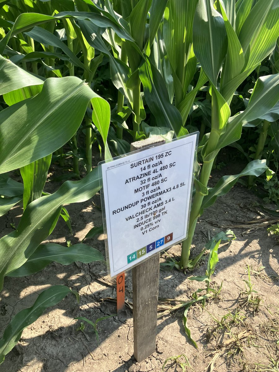 J. B. Edmondson (@1boilerfan) on Twitter photo Purdue Weed Science Field Day at Throckmorton was very interesting with lots of sharp people! Good to meet <a href="/PUweeds/">Tommy Butts</a> , welcome to Indiana. Purdue Weed Science Field Day at Throckmorton was very interesting with lots of sharp people! Good to meet <a href="/PUweeds/">Tommy Butts</a> , welcome to Indiana.