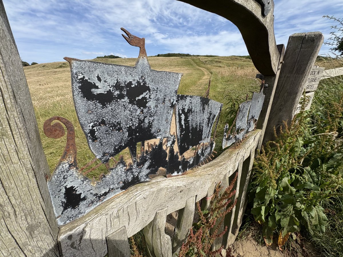 Coalporter's tweet photo. Love this farmer’s gate: decorated with a representation of a Viking fleet. https://t.co/JYsHf5q5vg