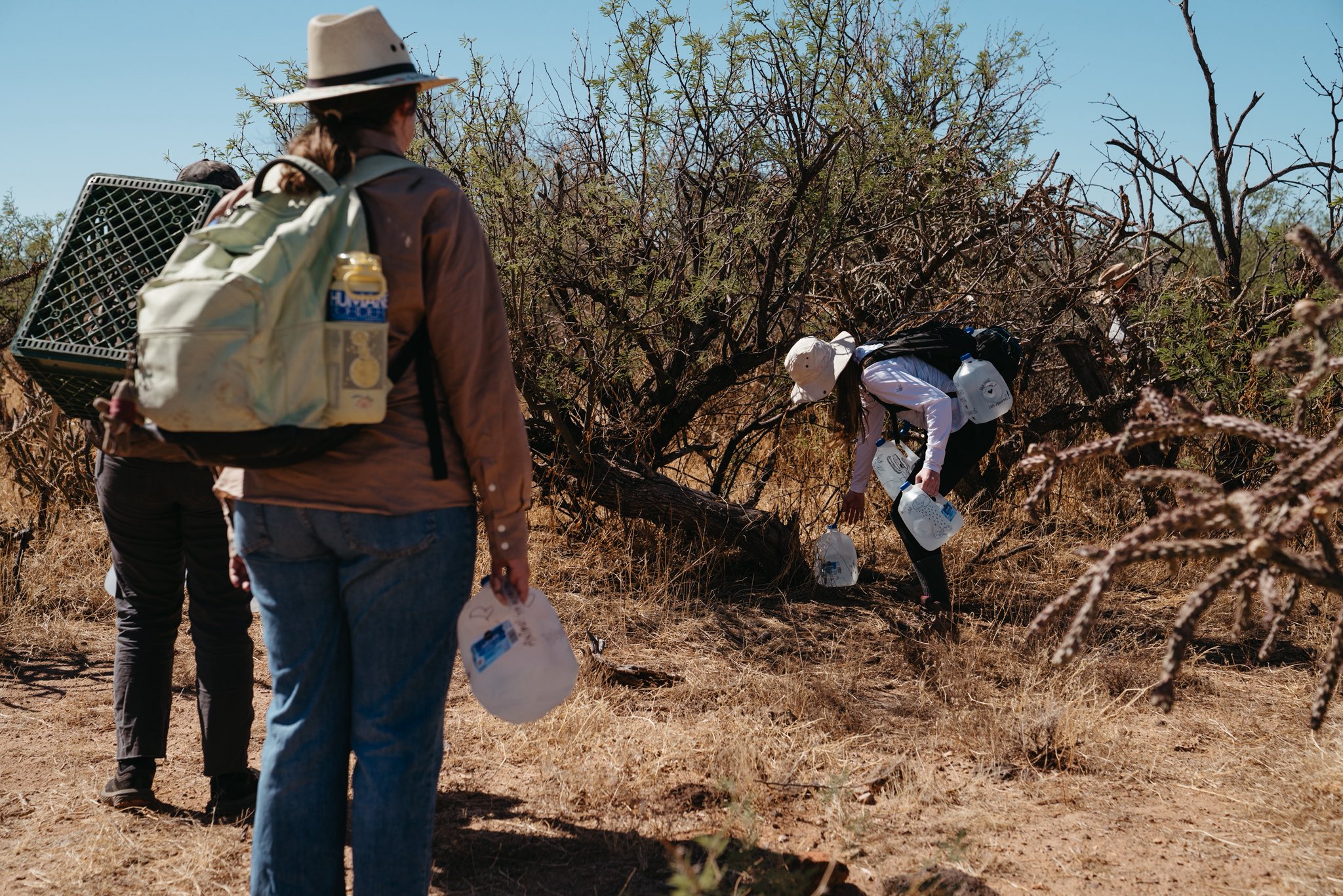 No More Deaths | No Más Muertes on X: "This past Sunday, we hosted our first Longest Day Water Drop, open to the public. We had 25 people come out and collectively