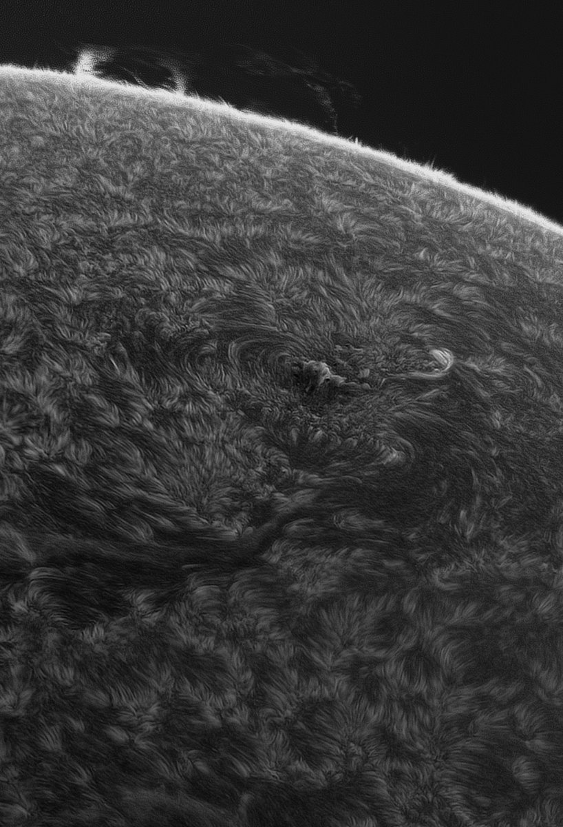 Stupid Astronomer tweet media