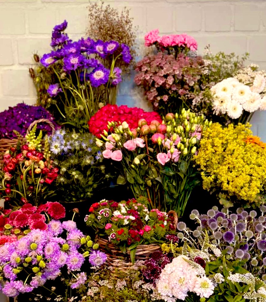 Durch die Blume sprechen bringt manchmal nichts. Man muss den Leuten auch mal den Strauß quer durch die Fresse ziehen.