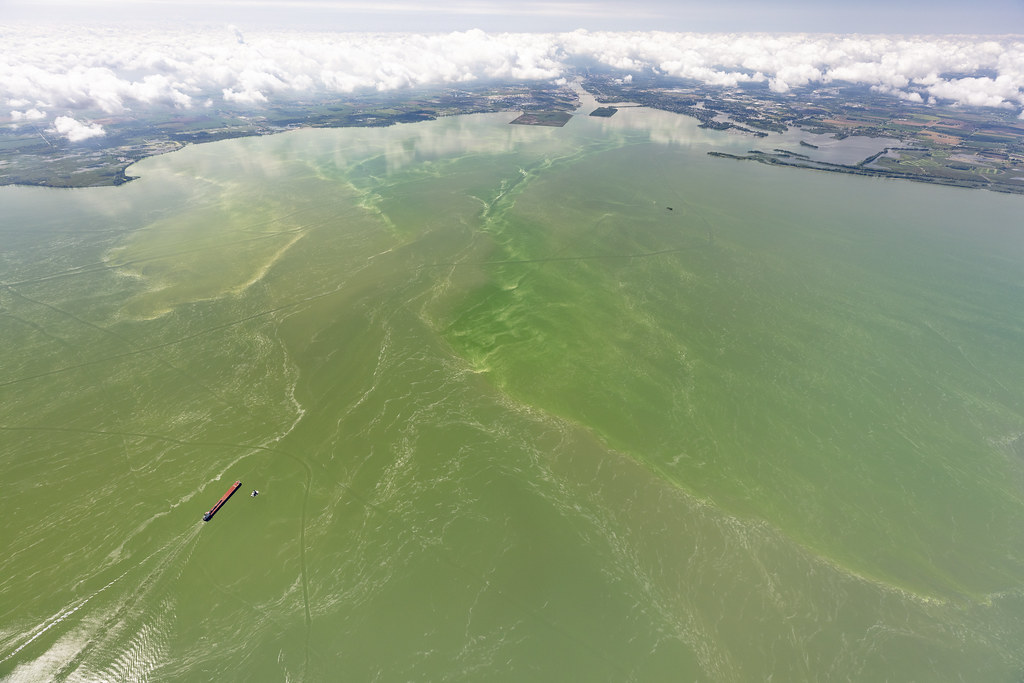 NOAA and partners are forecasting a mild to moderate #HarmfulAlgalBloom for western #LakeErie this summer. The 2025 summer bloom is expected to measure 3, with a potential range of 2 to 4 on the severity index. coastalscience.noaa.gov/news/mild-to-m…