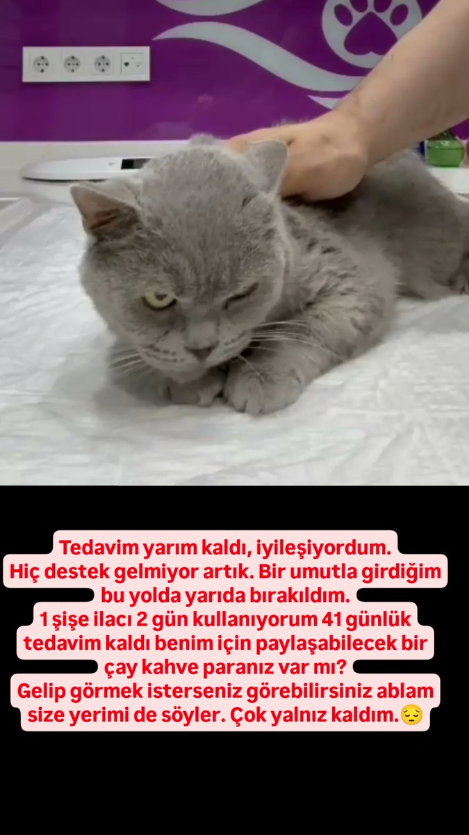 Tedavim yarım kaldı, iyileşiyordum.
Hiç destek gelmiyor artık. Bir umutla girdiğim bu yolda yarıda bırakıldım.
1 şişe ilacı 2 gün kullanıyorum 41 günlük tedavim kaldı benim için paylaşabilecek bir çay kahve paranız var mı?
Çok yalnız kaldım.😔